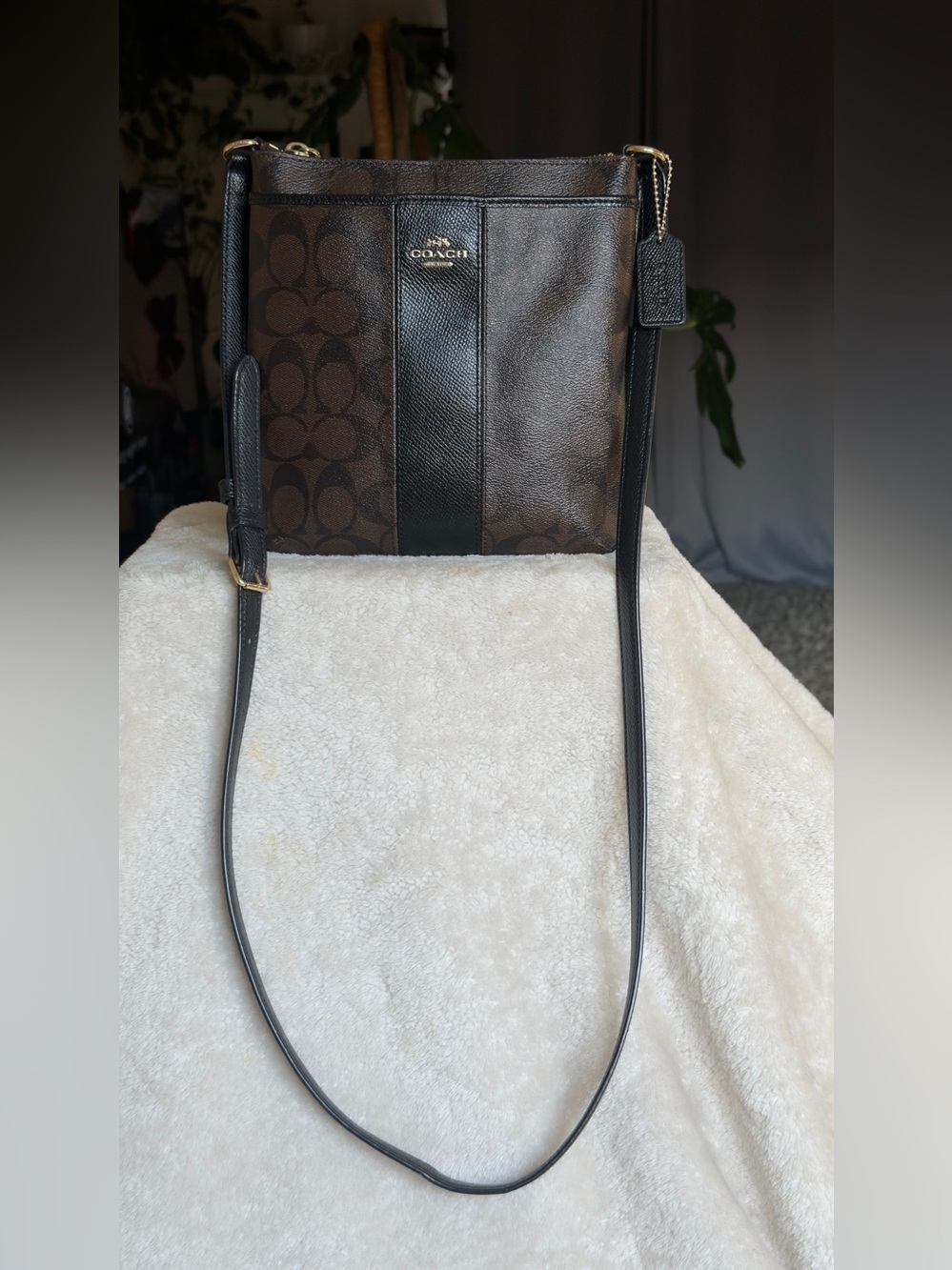 Coach Signature Canvas North South Crossbody Swingpack Stripe Bag F52856
